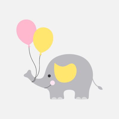 تم تولد بچه فیل
